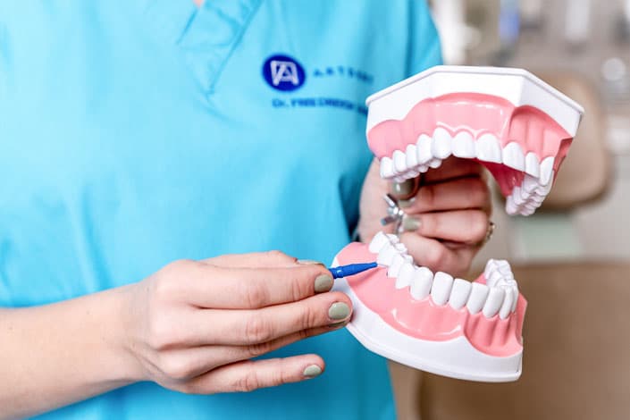 Dr. Friedreich Dóra bemutatja a fogköztisztító kefe helyes használatát.